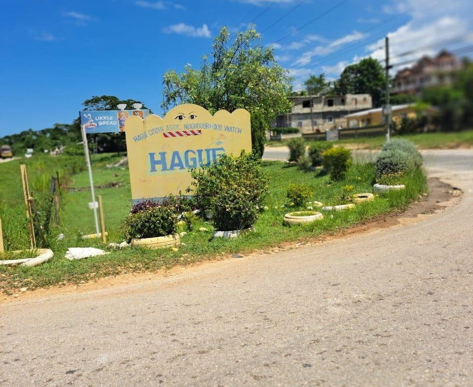 Tenth image of Lot 344 Sunset st in HAGUE HOUSING SCHEME, Trelawny, Jamaica - property is For Sale
