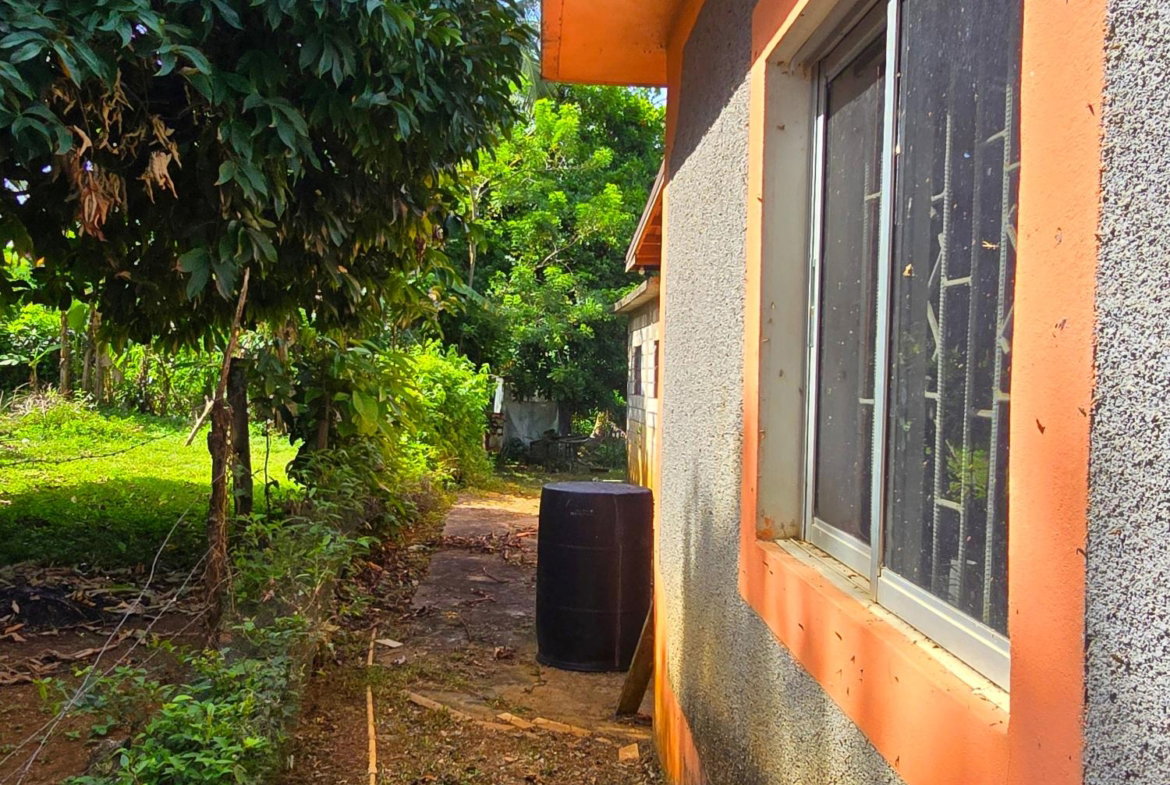 Twentieth image of Jericho District, Linst in Linstead, St. Catherine, Jamaica - property is For Sale