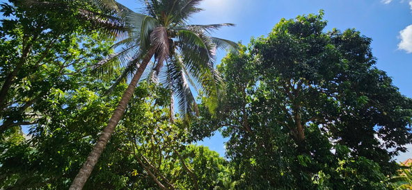 Thirteenth image of 33 Dixon Ave, Tower Isle st in Tower Isle, St. Mary, Jamaica - property is For Sale