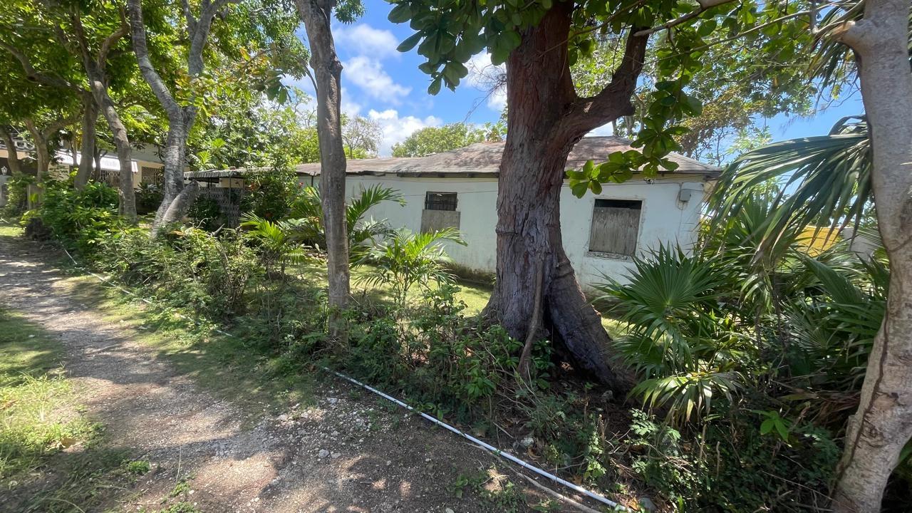 Second image of Land Part of Wilderness in Oracabessa, St. Mary, Jamaica - property is For Sale