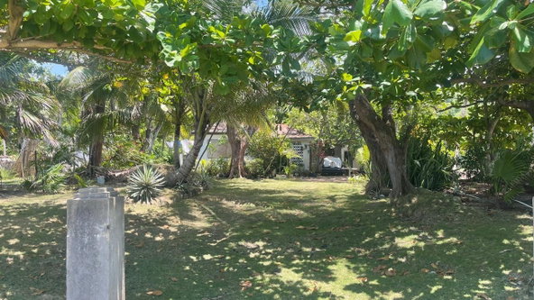 Third image of Land Part of Wilderness in Oracabessa, St. Mary, Jamaica - property is For Sale