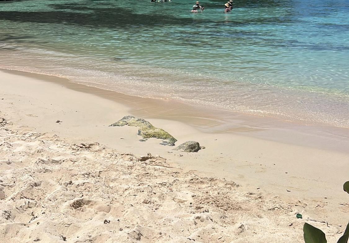 Second image of 40 Coral Circle in St. Ann's Bay, St. Ann, Jamaica - property is For Rent