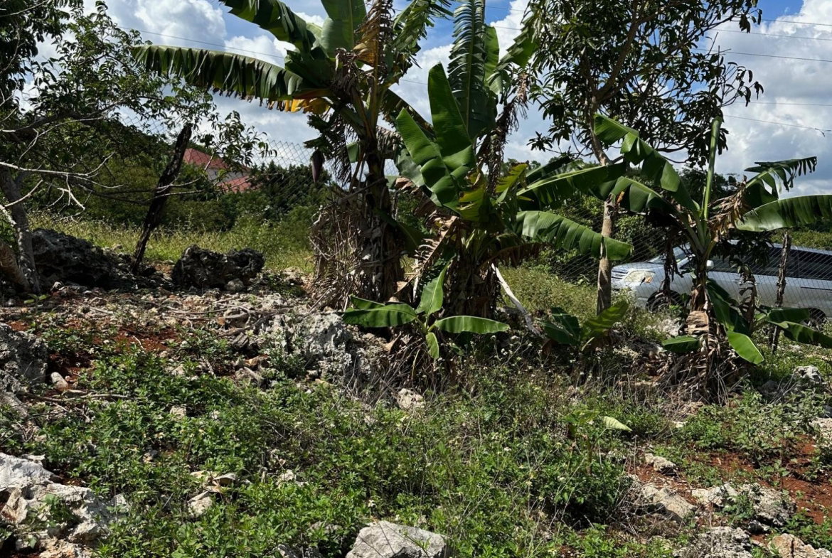 Sixth image of 19 Hopeton (abbey Gardens) in Hat Field, Manchester, Jamaica - property is For Sale