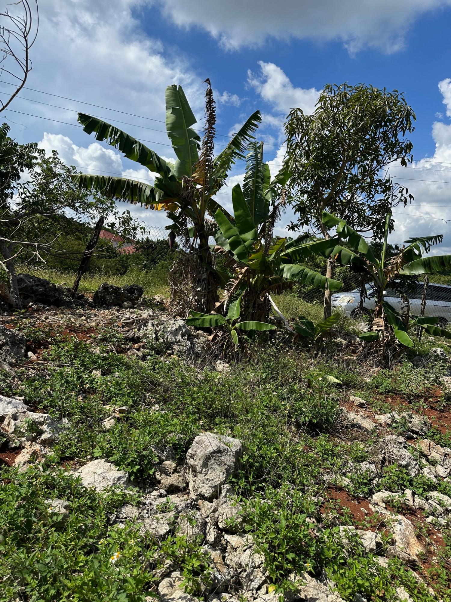 Spacious-Unfinished-4-Bedroom-Home-for-Sale-in-Abbey-Gardens-Manchester-Jamaica Sixth image of 19 Hopeton (abbey Gardens) in Hat Field, Manchester, Jamaica - property is For Sale