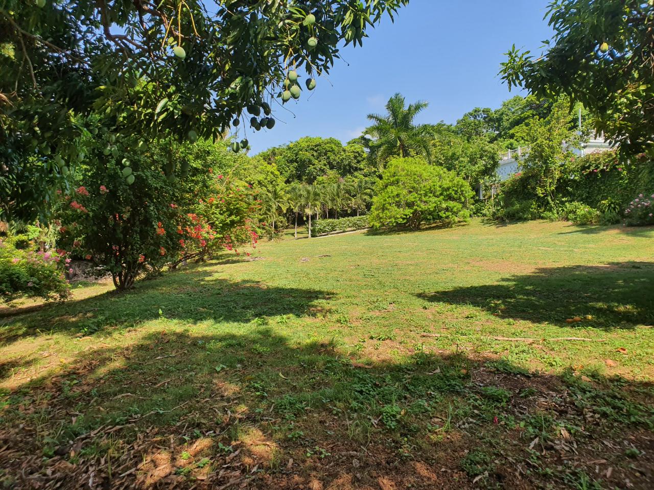 Eleventh image of 30-33 Bridgewater, Discovery ba in Discovery Bay, St. Ann, Jamaica - property is For Sale