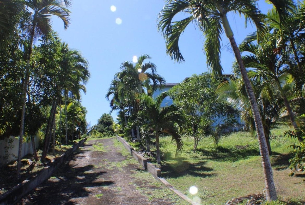 Fifth image of 4 Spring Valley Drive, Towe in Tower Isle, St. Mary, Jamaica - property is For Sale