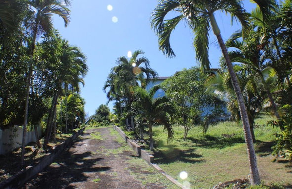 Fifth image of 4 Spring Valley Drive, Towe in Tower Isle, St. Mary, Jamaica - property is For Sale