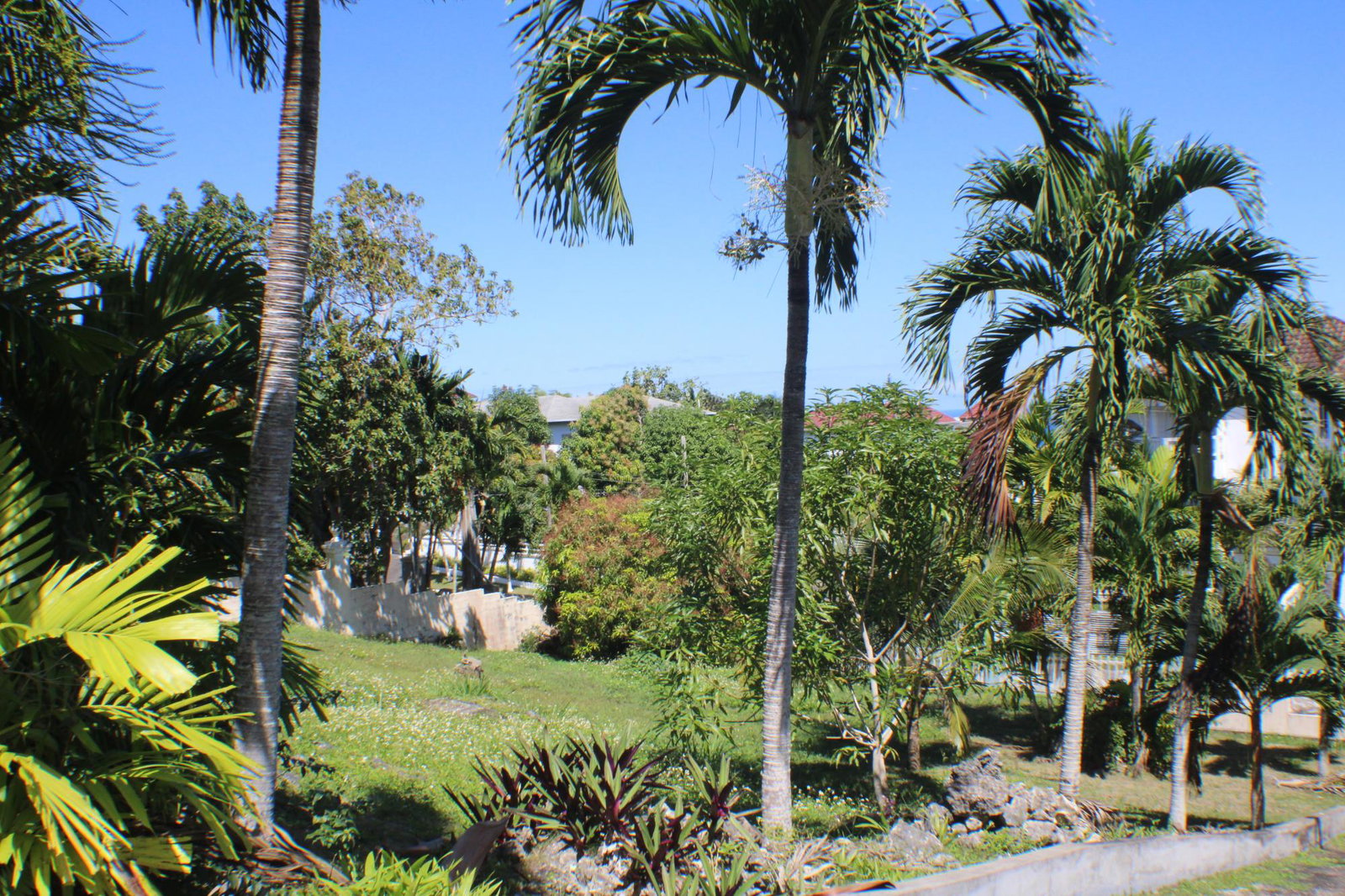 Sixth image of 4 Spring Valley Drive, Towe in Tower Isle, St. Mary, Jamaica - property is For Sale