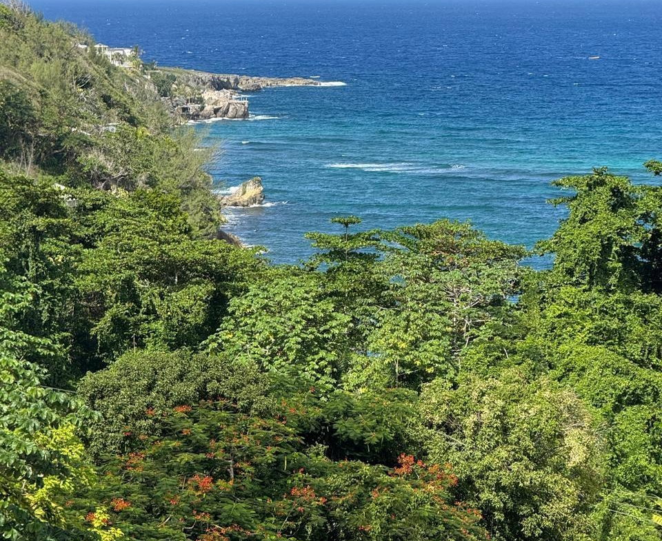 Third image of Part-of Castle Gordon in Port Maria, St. Mary, Jamaica - property is For Sale