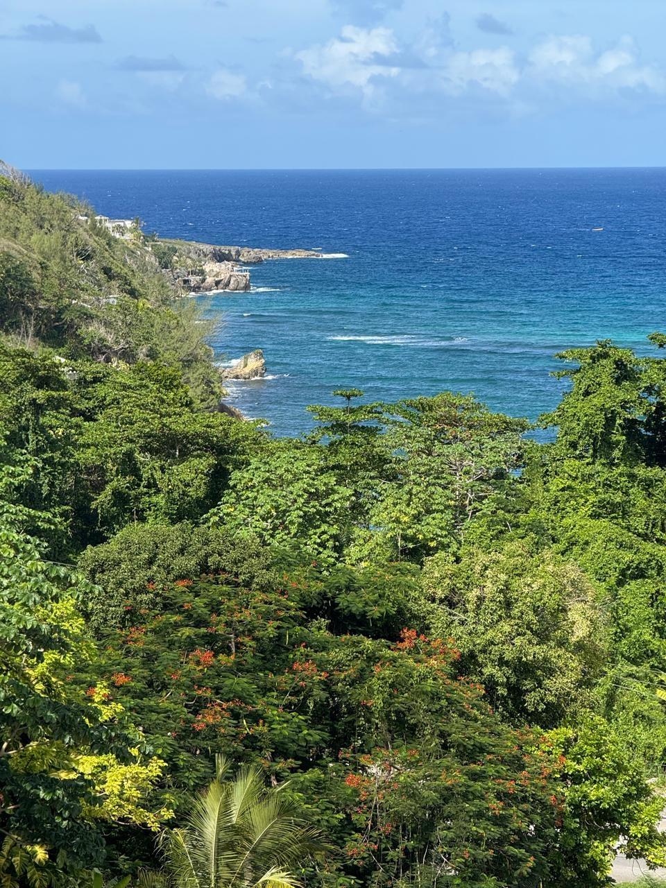 Third image of Part-of Castle Gordon in Port Maria, St. Mary, Jamaica - property is For Sale