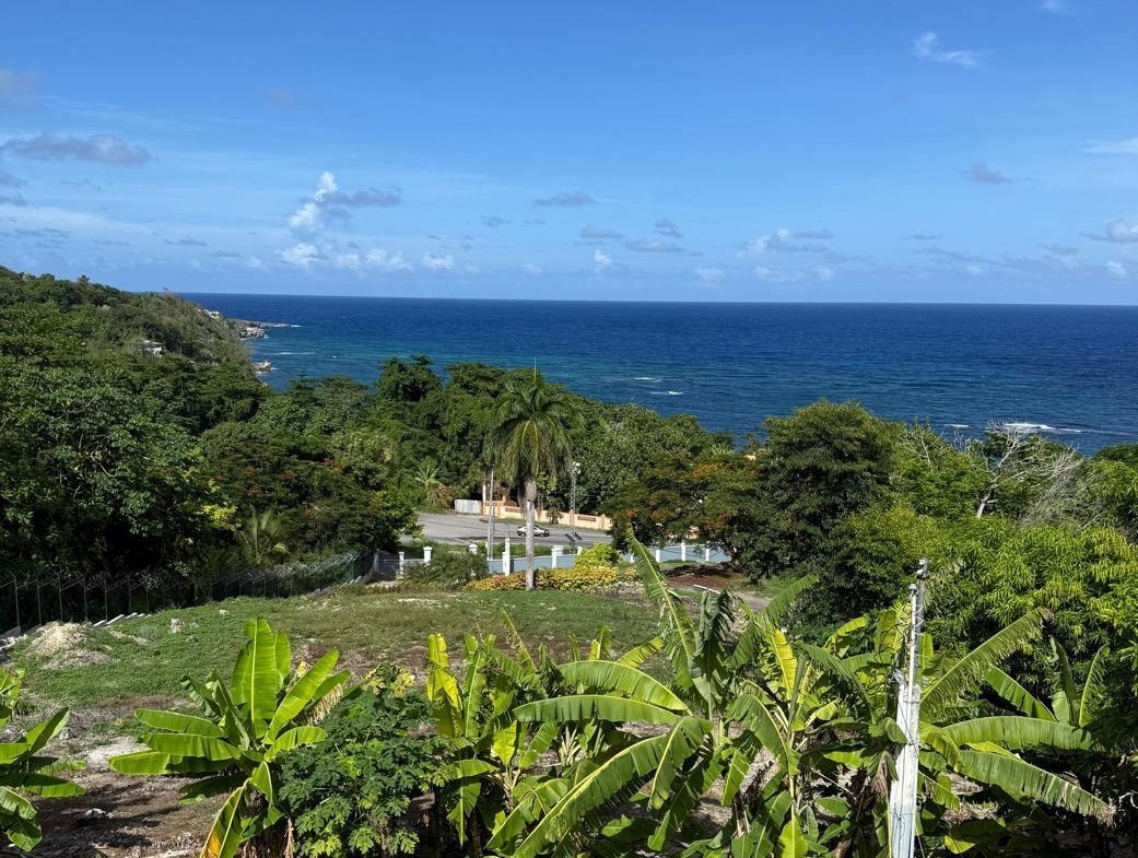 Fifth image of Part-of Castle Gordon in Port Maria, St. Mary, Jamaica - property is For Sale