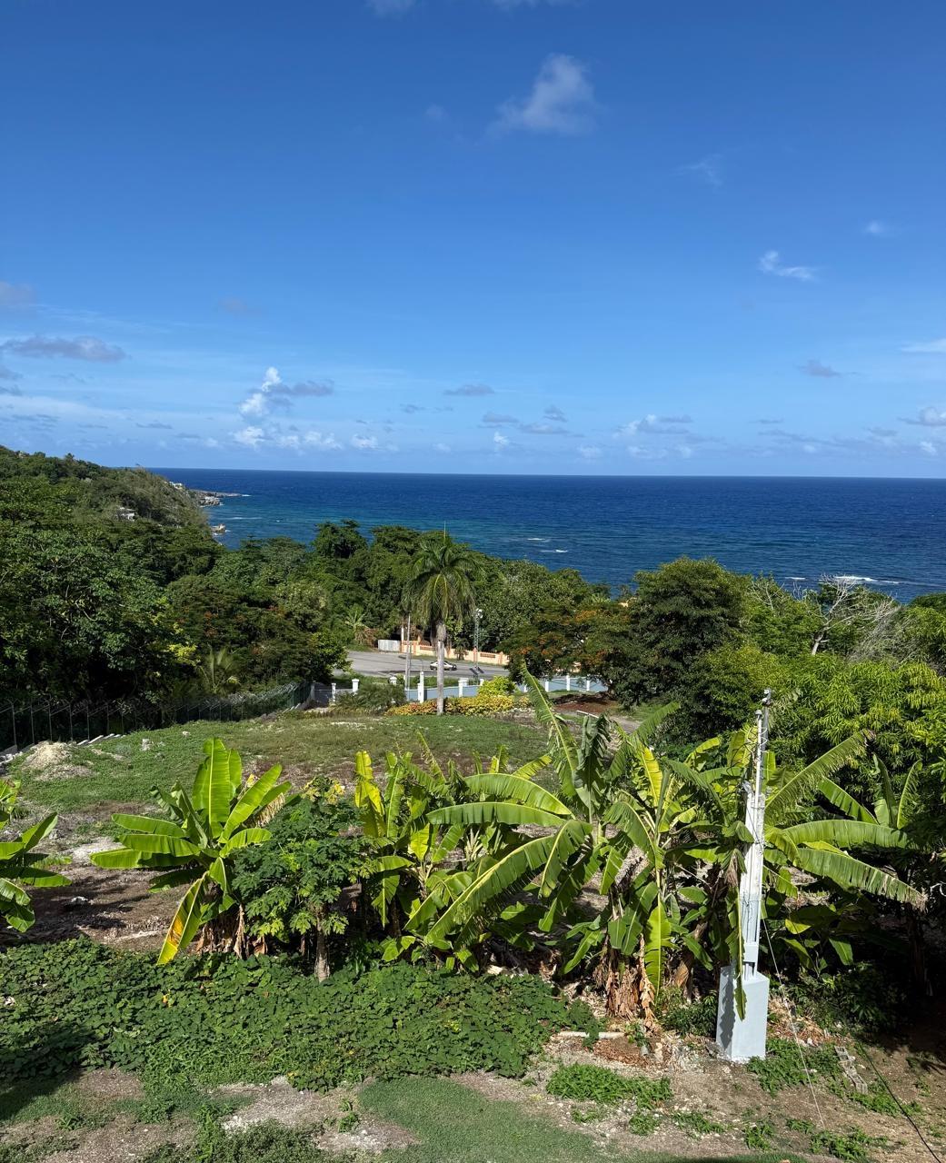 Fifth image of Part-of Castle Gordon in Port Maria, St. Mary, Jamaica - property is For Sale
