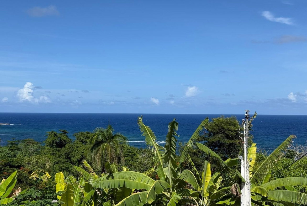 Sixth image of Part-of Castle Gordon in Port Maria, St. Mary, Jamaica - property is For Sale