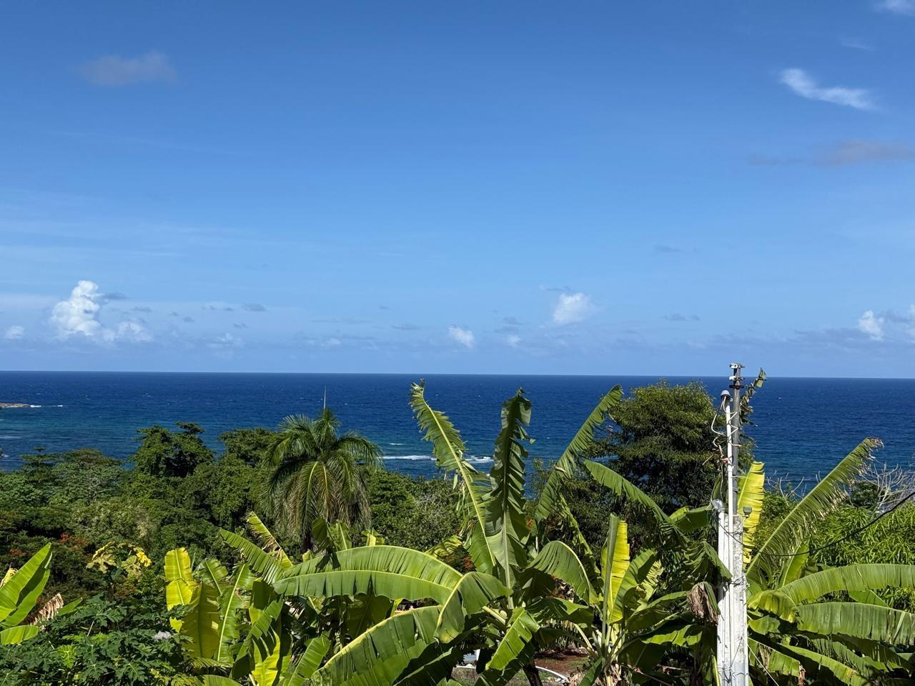 Sixth image of Part-of Castle Gordon in Port Maria, St. Mary, Jamaica - property is For Sale