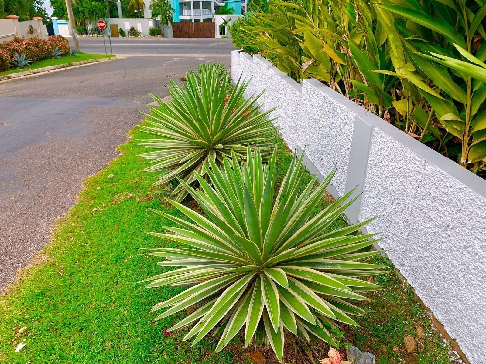 Sixteenth image of 5- Tower Cloisters . in Tower Isle, St. Mary, Jamaica - property is For Sale