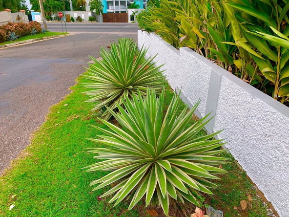 Sixteenth image of 5- Tower Cloisters . in Tower Isle, St. Mary, Jamaica - property is For Sale