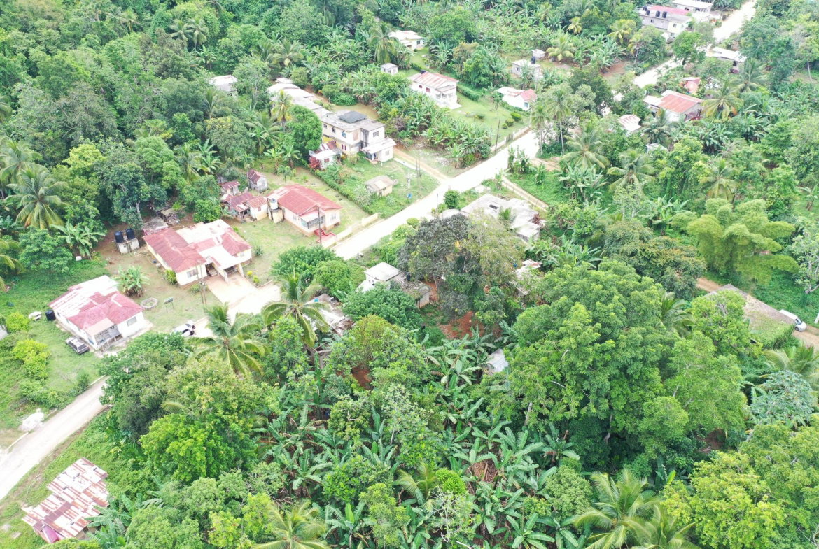 Seventh image of Duanvale, Trelawany in Duanvale, Trelawny, Jamaica - property is For Sale