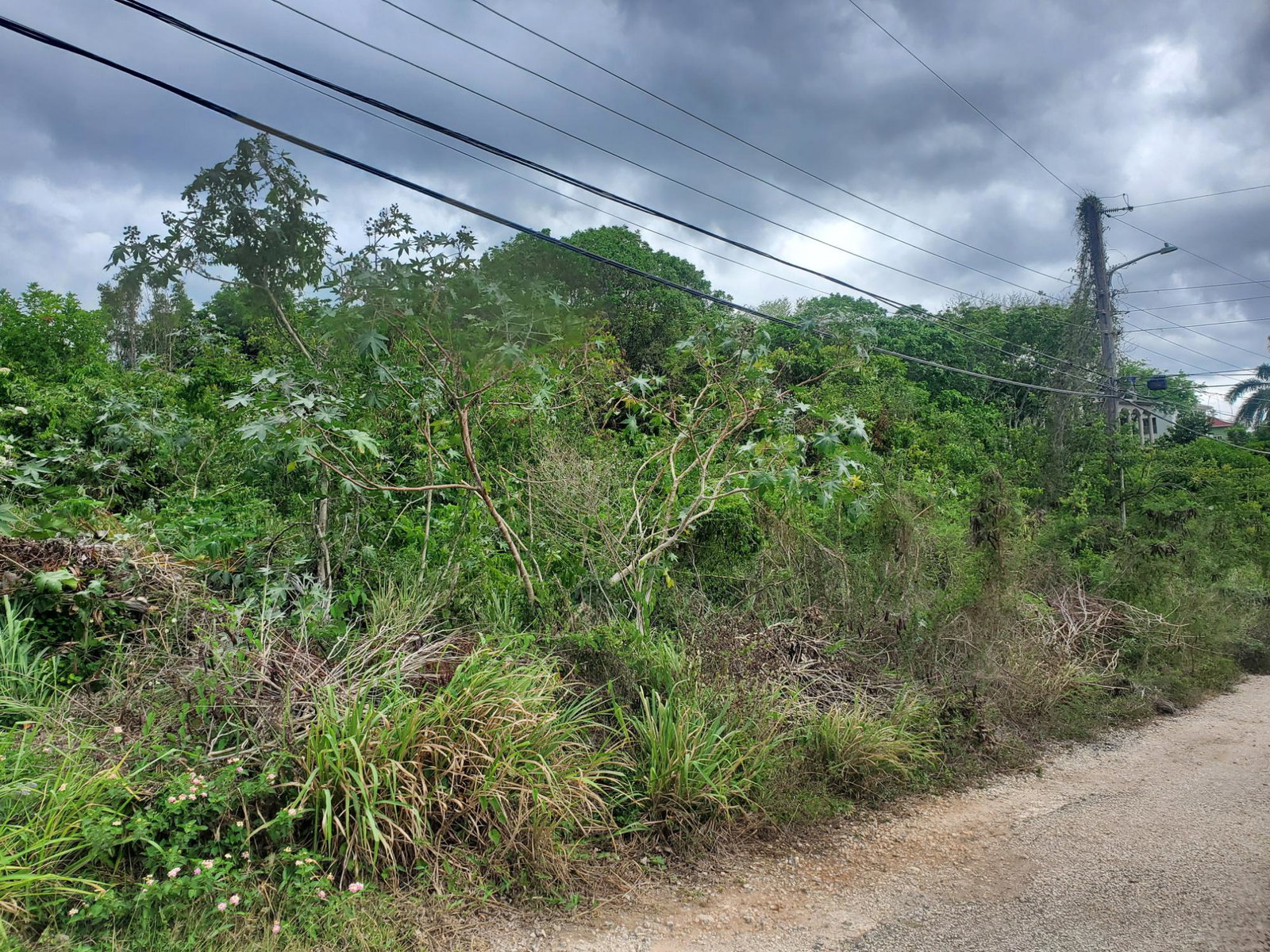 Second image of 120- Retreat Heights in RETREAT HEIGHTS, Trelawny, Jamaica - property is For Sale