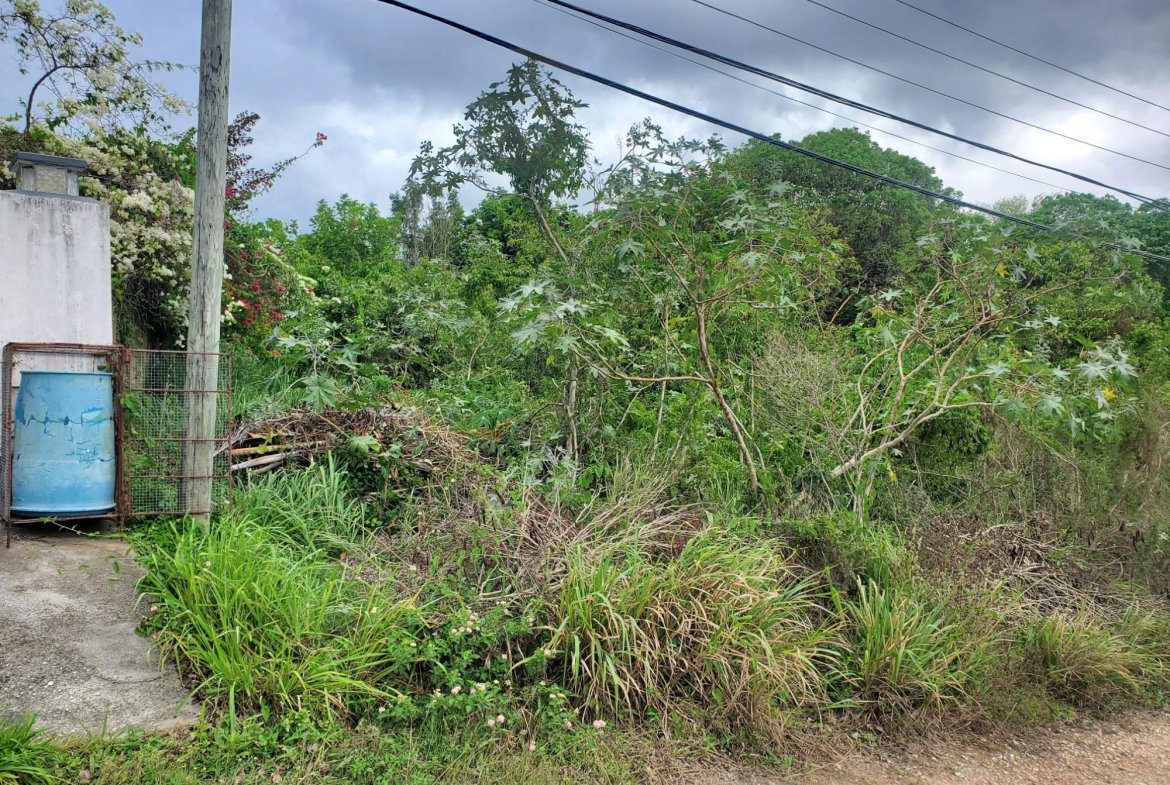 Third image of 120- Retreat Heights in RETREAT HEIGHTS, Trelawny, Jamaica - property is For Sale