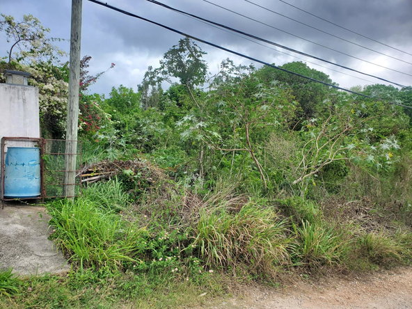 Third image of 120- Retreat Heights in RETREAT HEIGHTS, Trelawny, Jamaica - property is For Sale