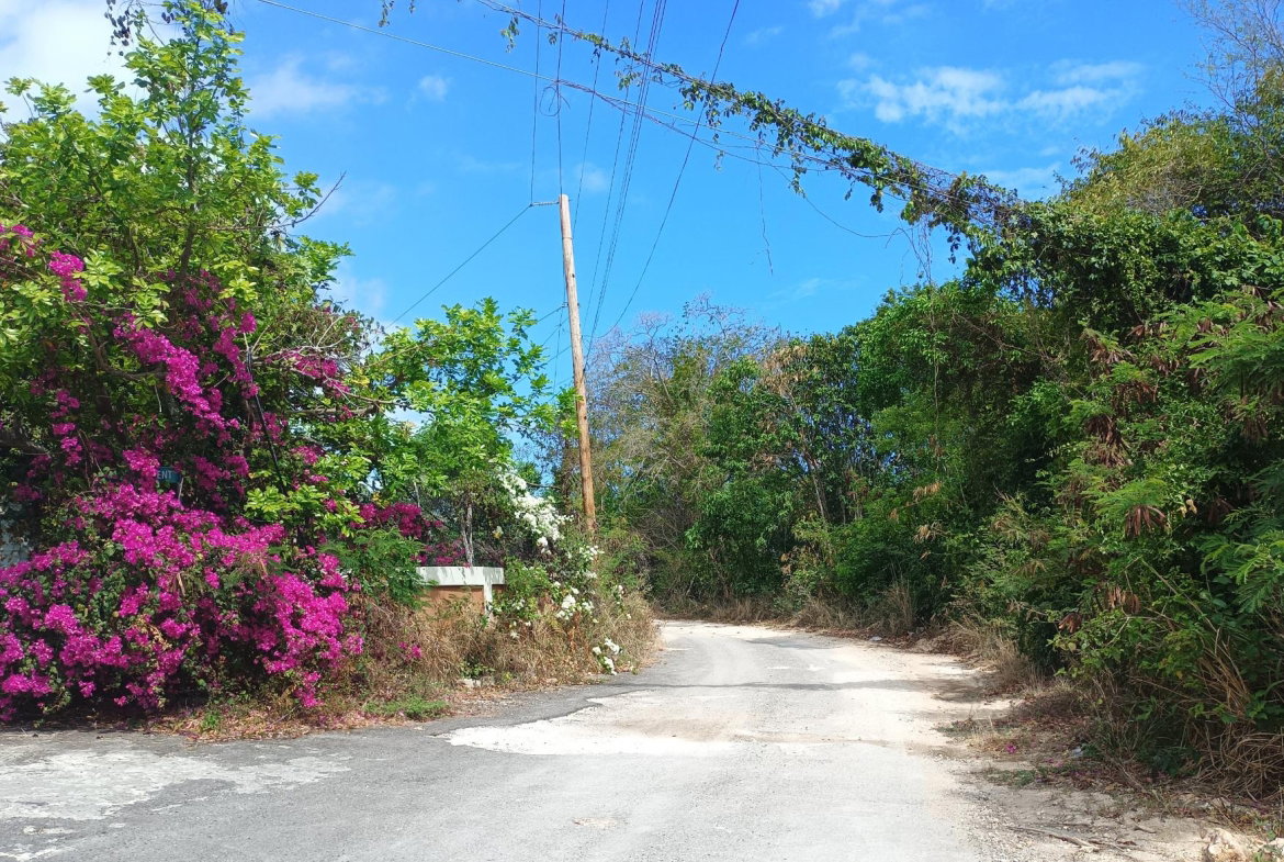 Fifth image of Ocean View Drive in Falmouth, Trelawny, Jamaica - property is For Sale