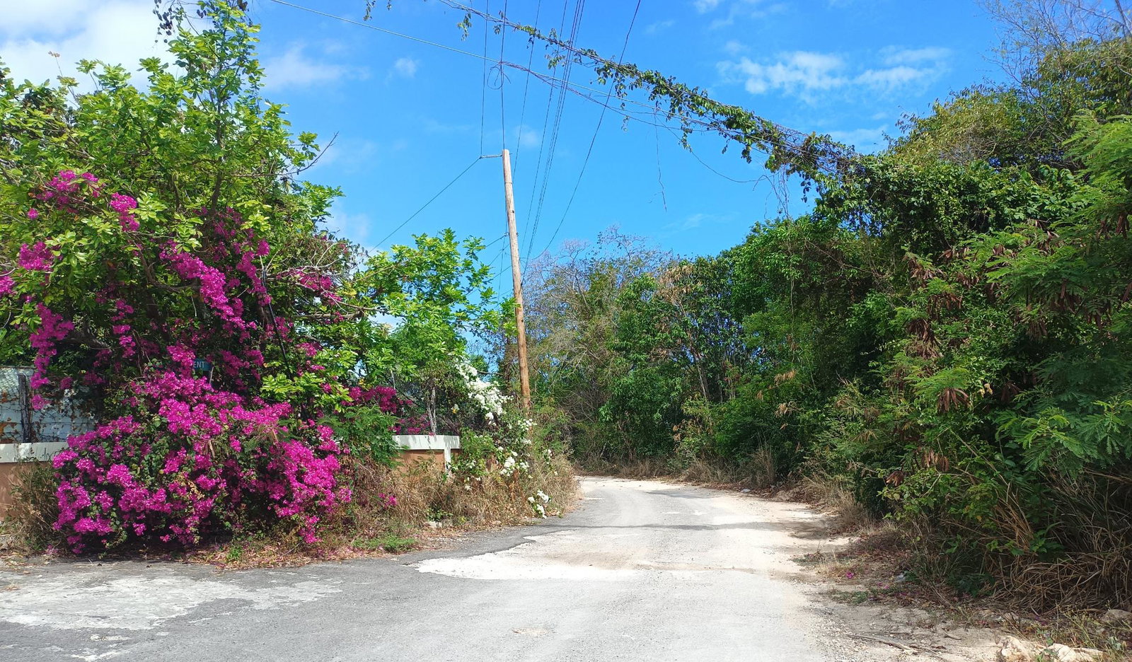¼-Acre-Residential-Lot-for-Sale-in-Trelawny-Jamaica-–-Ocean-View-Drive Fifth image of Ocean View Drive in Falmouth, Trelawny, Jamaica - property is For Sale