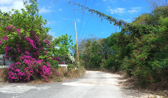 Fifth image of Ocean View Drive in Falmouth, Trelawny, Jamaica - property is For Sale