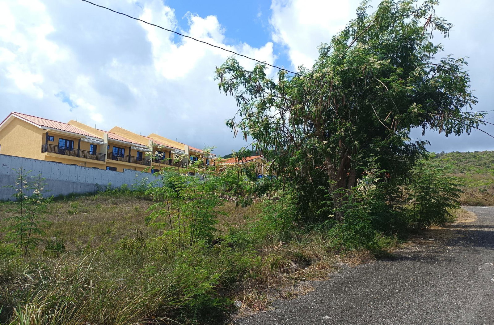 ¼-Acre-Residential-Lot-for-Sale-in-Trelawny-Jamaica-–-Ocean-View-Drive Seventh image of Ocean View Drive in Falmouth, Trelawny, Jamaica - property is For Sale