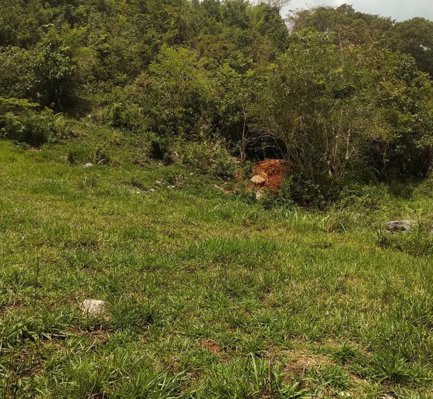 Second image of George Reid in Hatfield, Manchester, Jamaica - property is For Sale