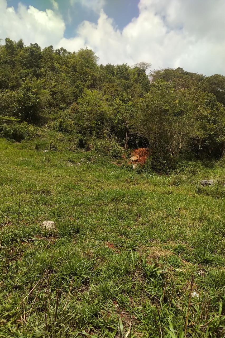 1-Acre-Residential-Lot-for-Sale-in-George-Reid-Mandeville-Manchester-Jamaica Second image of George Reid in Hatfield, Manchester, Jamaica - property is For Sale