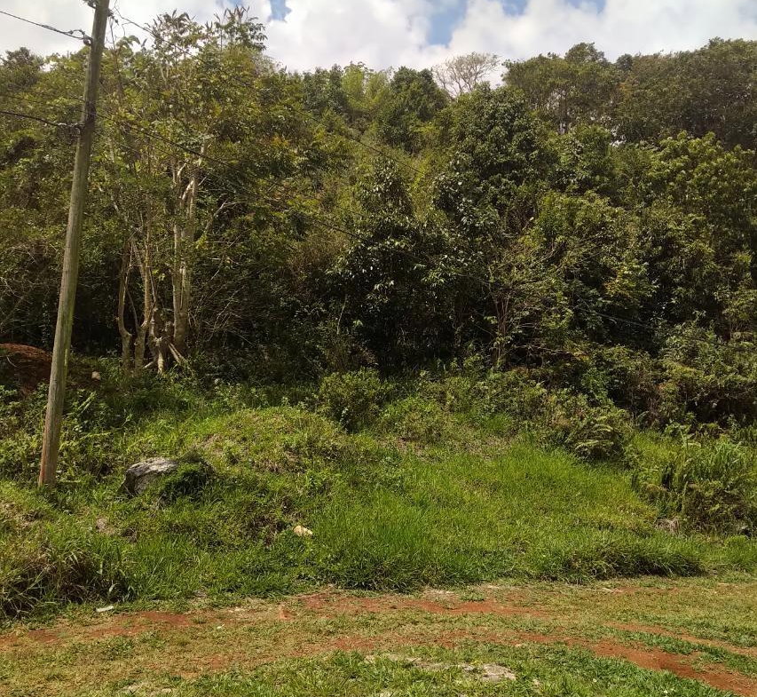Third image of George Reid in Hatfield, Manchester, Jamaica - property is For Sale