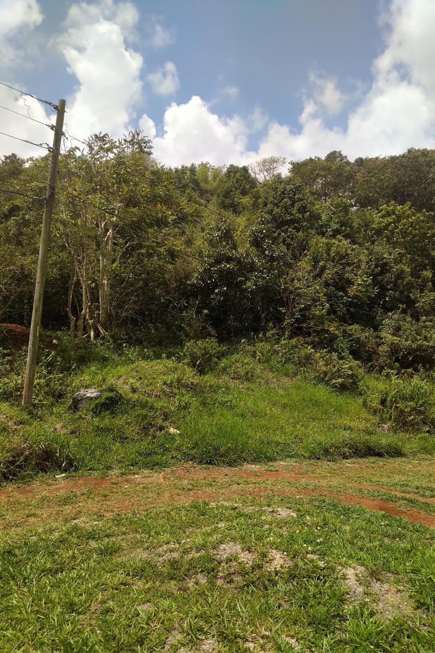1-Acre-Residential-Lot-for-Sale-in-George-Reid-Mandeville-Manchester-Jamaica Third image of George Reid in Hatfield, Manchester, Jamaica - property is For Sale