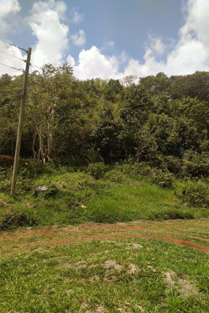 Third image of George Reid in Hatfield, Manchester, Jamaica - property is For Sale