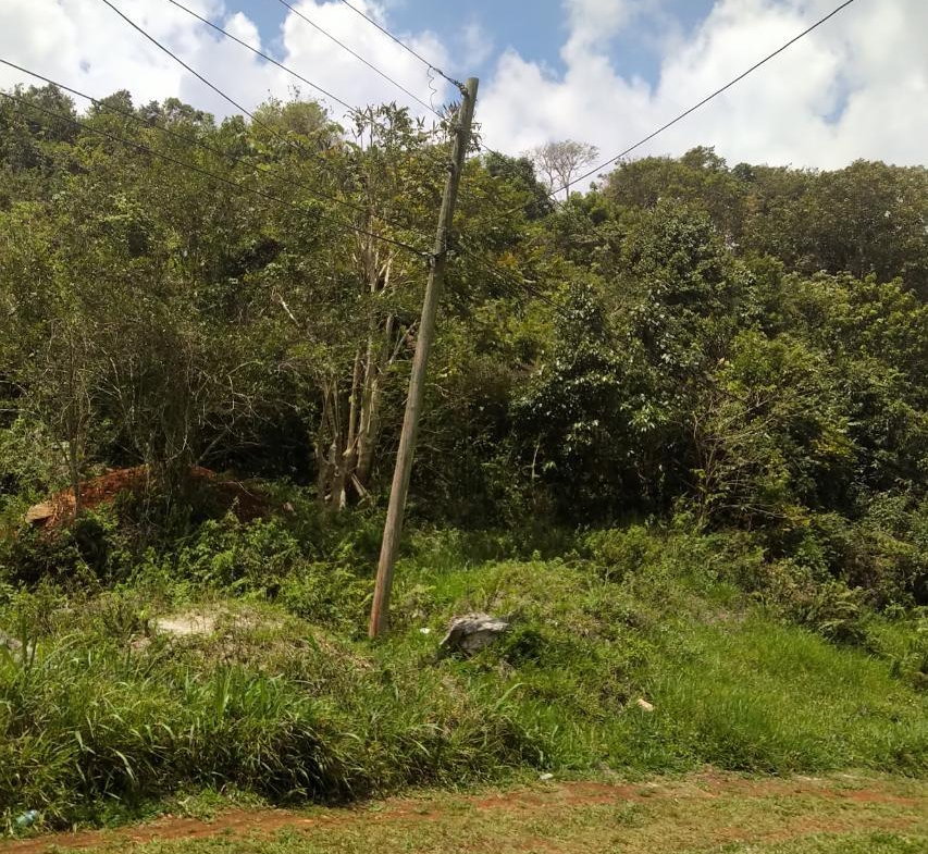 Fourth image of George Reid in Hatfield, Manchester, Jamaica - property is For Sale
