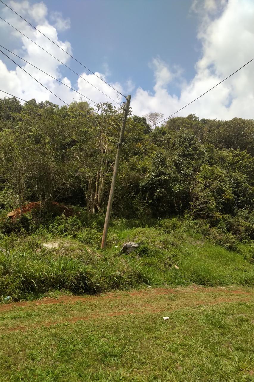 1-Acre-Residential-Lot-for-Sale-in-George-Reid-Mandeville-Manchester-Jamaica Fourth image of George Reid in Hatfield, Manchester, Jamaica - property is For Sale