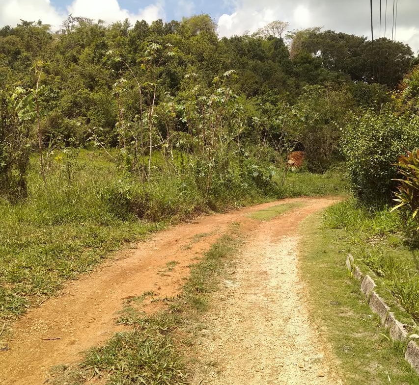 Sixth image of George Reid in Hatfield, Manchester, Jamaica - property is For Sale
