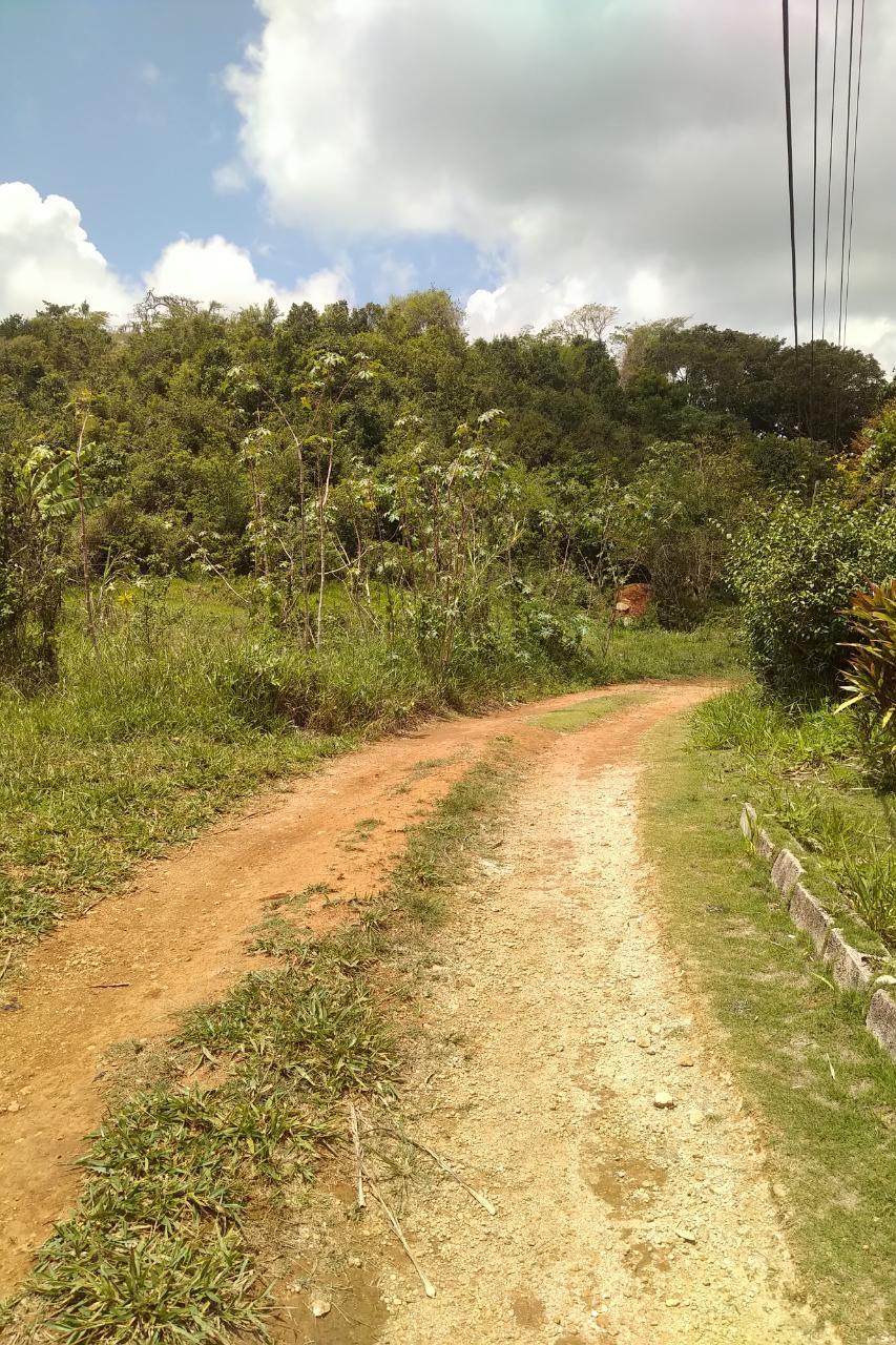 1-Acre-Residential-Lot-for-Sale-in-George-Reid-Mandeville-Manchester-Jamaica Sixth image of George Reid in Hatfield, Manchester, Jamaica - property is For Sale