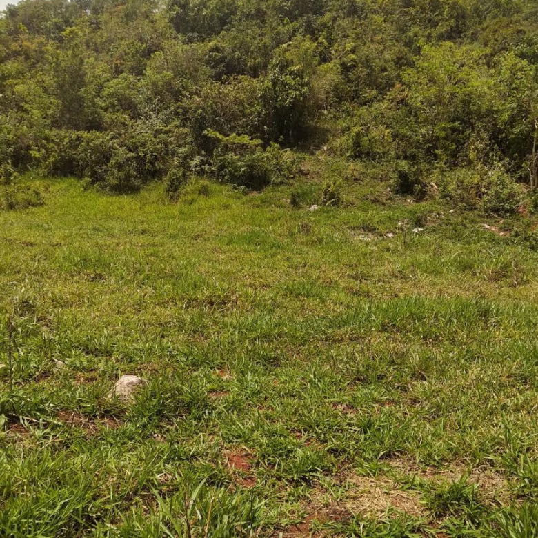 First image of George Reid in Hatfield, Manchester, Jamaica - property is For Sale