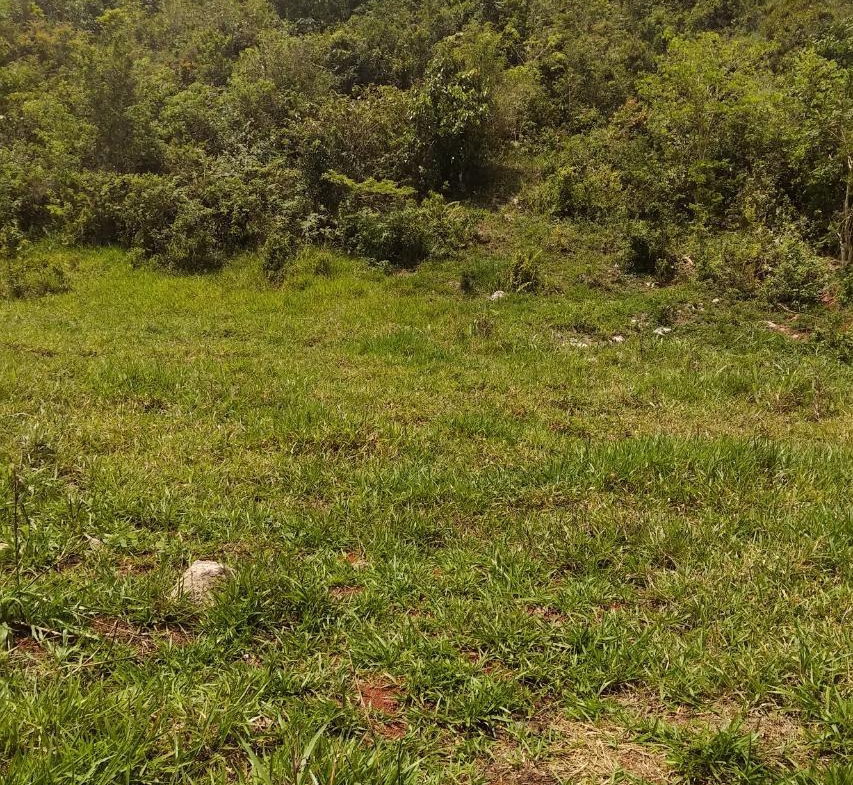 First image of George Reid in Hatfield, Manchester, Jamaica - property is For Sale