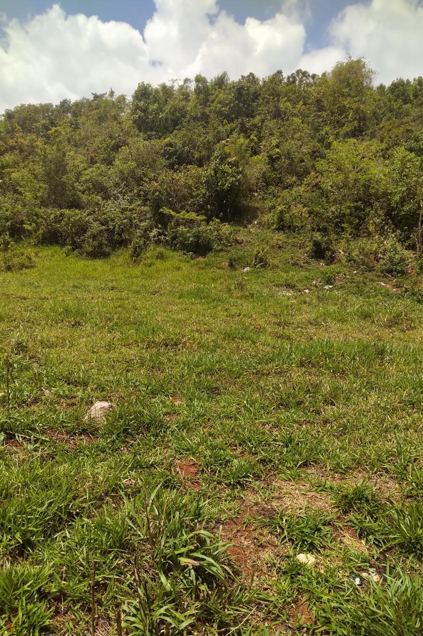 First image of George Reid in Hatfield, Manchester, Jamaica - property is For Sale