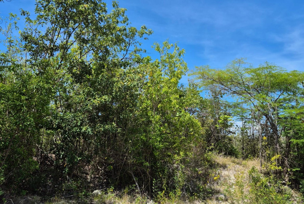 Third image of Block C-lot 1c Alpine Way in Albion, St. Thomas, Jamaica - property is For Sale