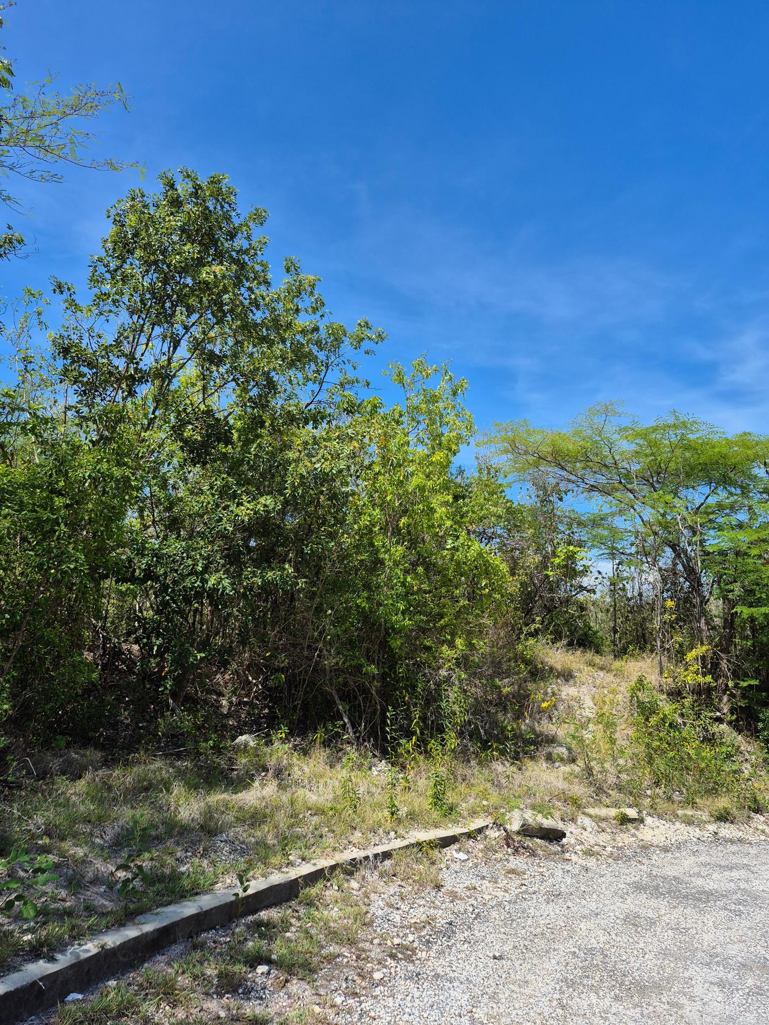 Third image of Block C-lot 1c Alpine Way in Albion, St. Thomas, Jamaica - property is For Sale