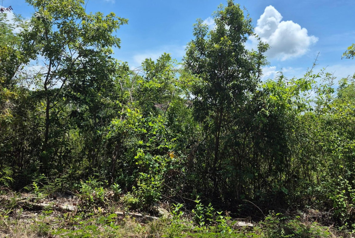 Fifth image of Block C-lot 1c Alpine Way in Albion, St. Thomas, Jamaica - property is For Sale
