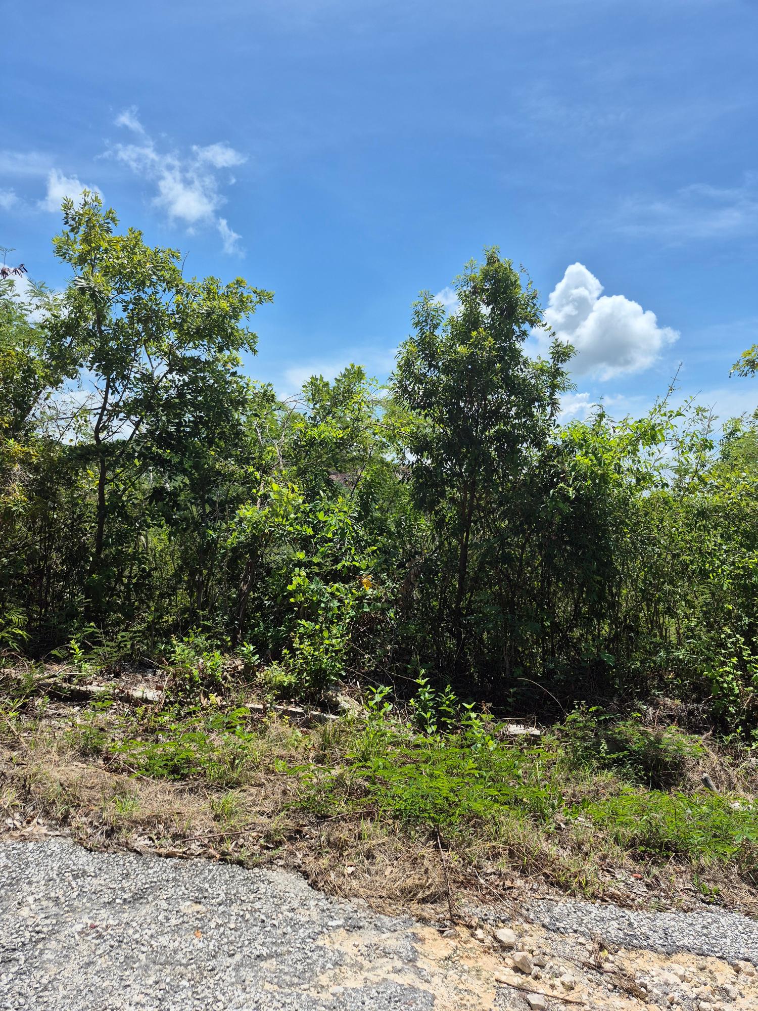Fifth image of Block C-lot 1c Alpine Way in Albion, St. Thomas, Jamaica - property is For Sale