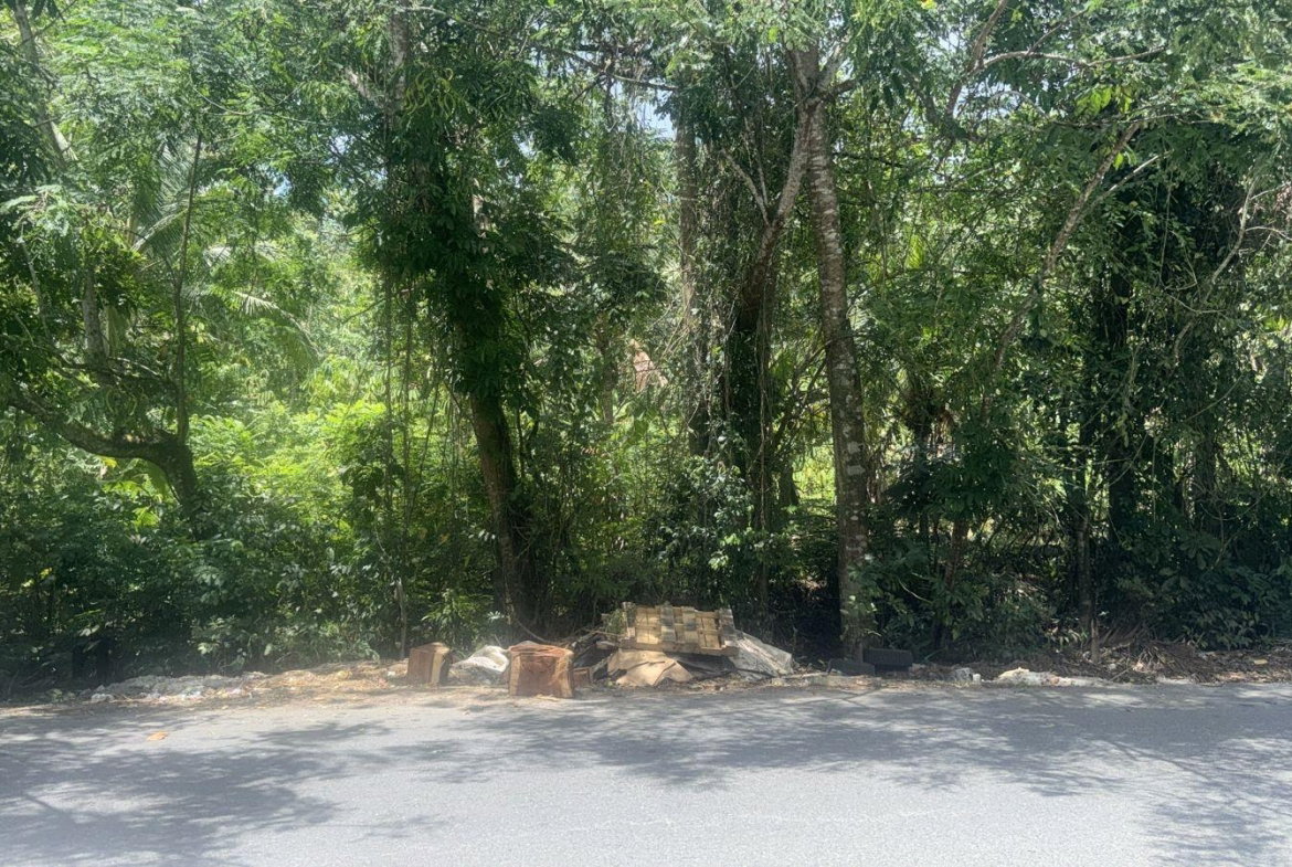 First image of Albany, St. Mary in Albany, St. Mary, Jamaica - property is For Sale