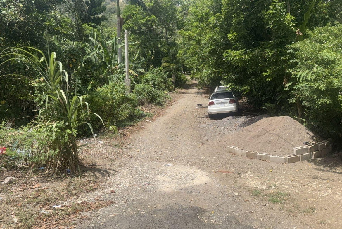 Third image of Albany, St. Mary in Albany, St. Mary, Jamaica - property is For Sale