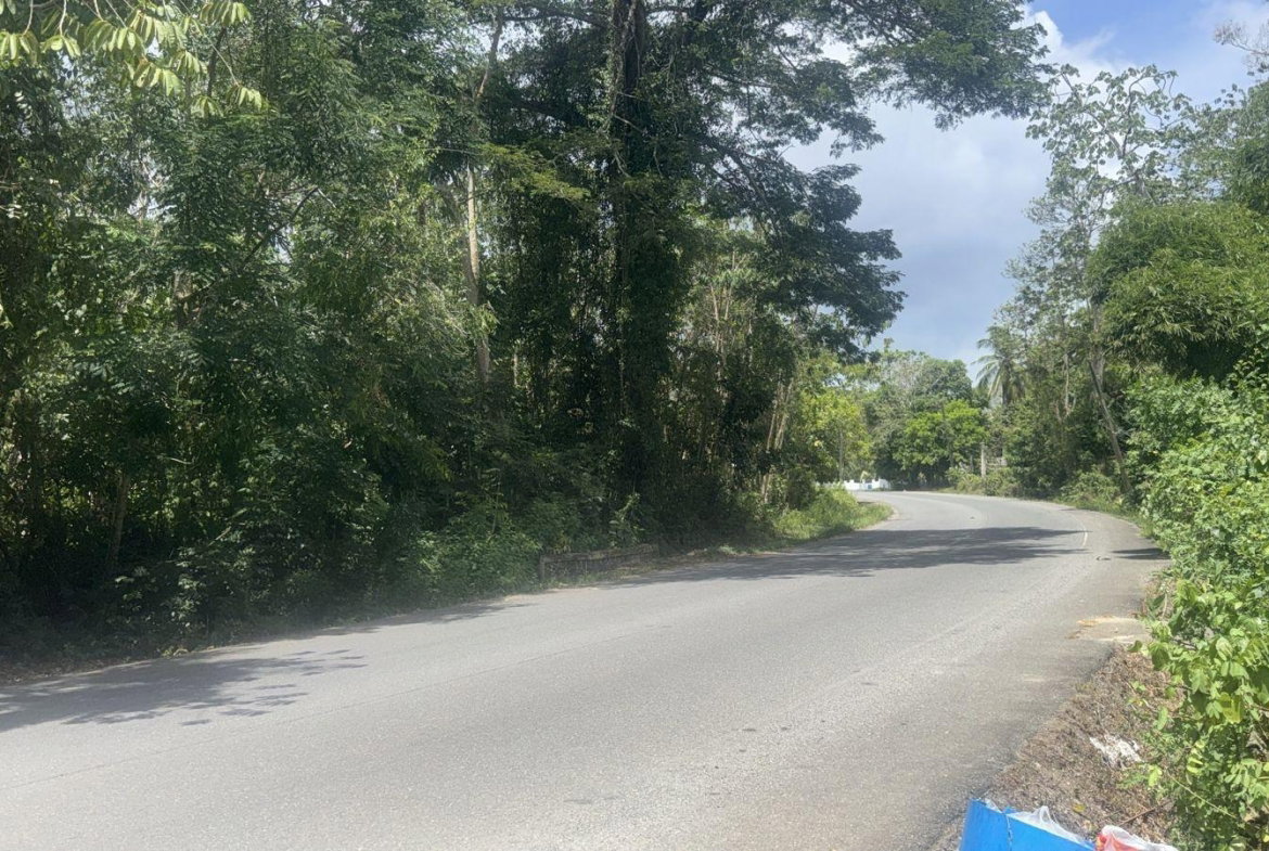 Fourth image of Albany, St. Mary in Albany, St. Mary, Jamaica - property is For Sale