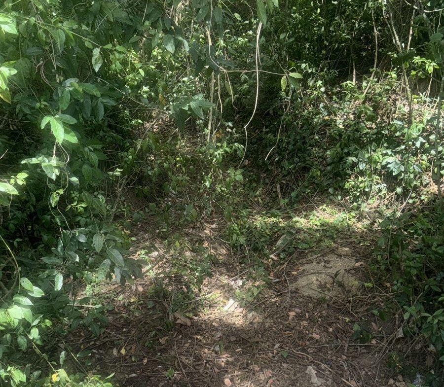 Ninth image of Albany, St. Mary in Albany, St. Mary, Jamaica - property is For Sale