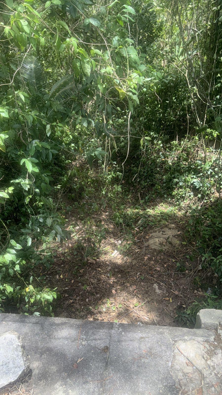 Ninth image of Albany, St. Mary in Albany, St. Mary, Jamaica - property is For Sale