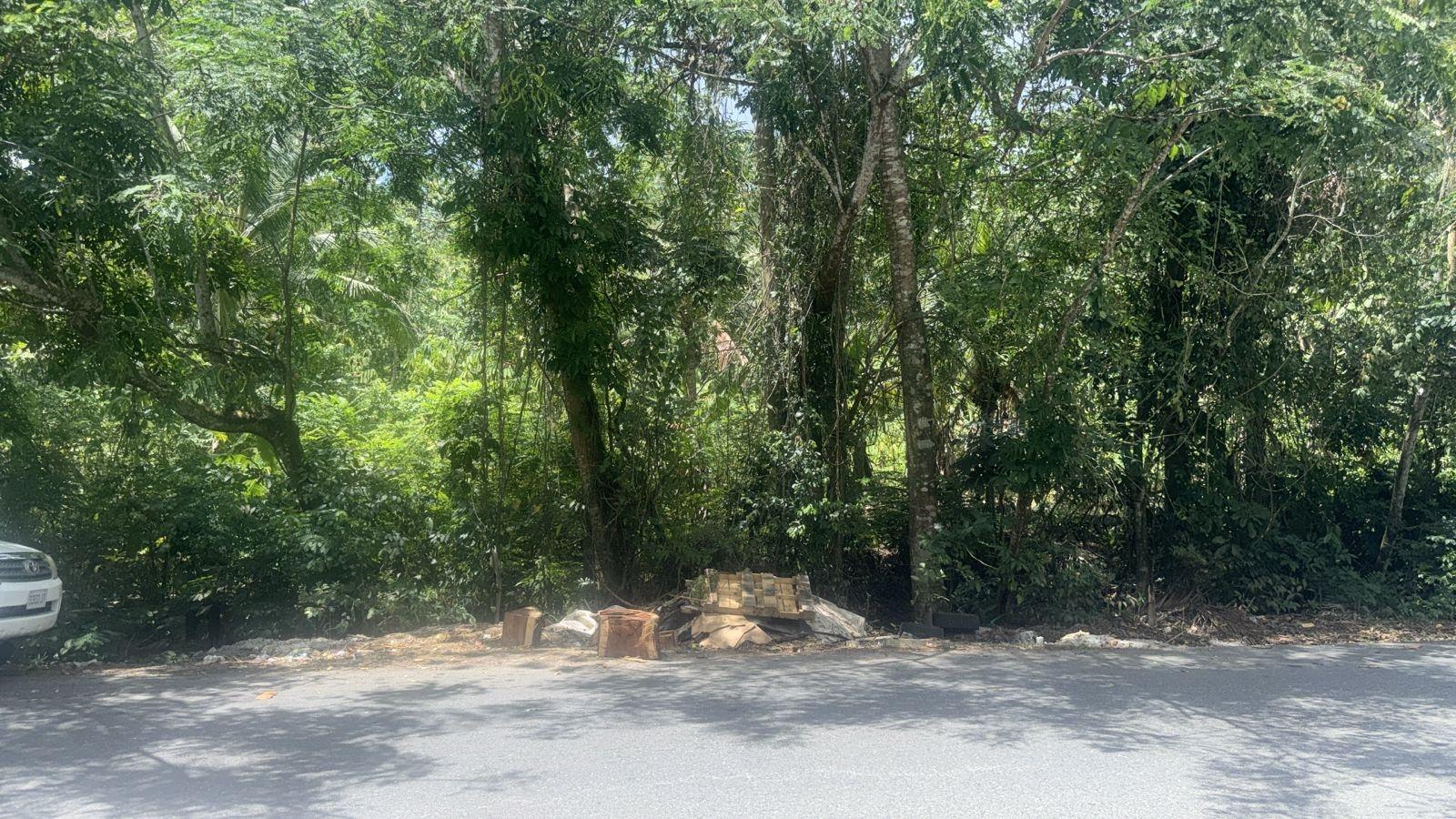 First image of Albany, St. Mary in Albany, St. Mary, Jamaica - property is For Sale